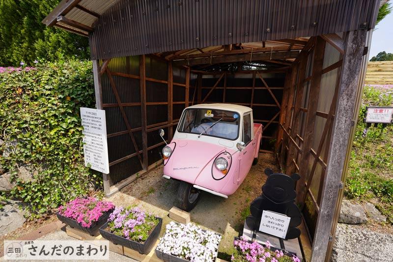 花のじゅうたん 三田市永沢寺 圧巻の一面に広がる芝桜 さんだのまわり